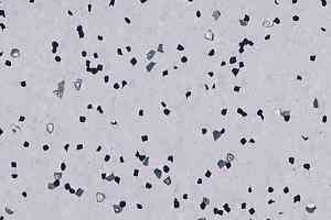 Линолеум Forbo Sphera Ec 450032 soft lilac фото  | FLOORDEALER